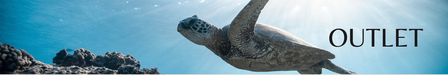 Outlet