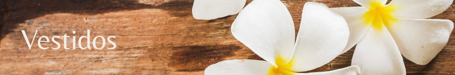 Vestidos